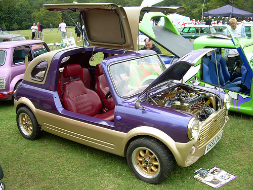 1959-2000 Mini Cooper MKI,II,III GULL WING DOORS - BUTTERFLY DO